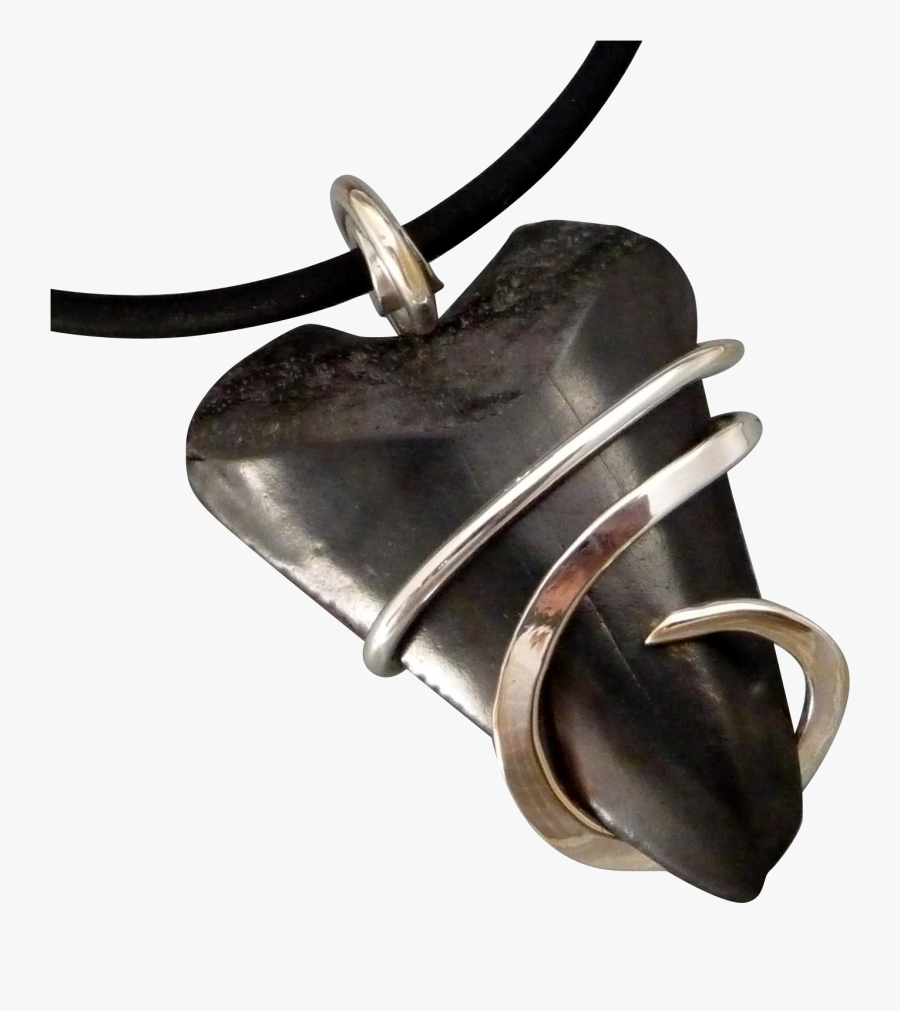 Fossilized Great White Shark Tooth Wrapped Pendant - Pendant, Transparent Clipart