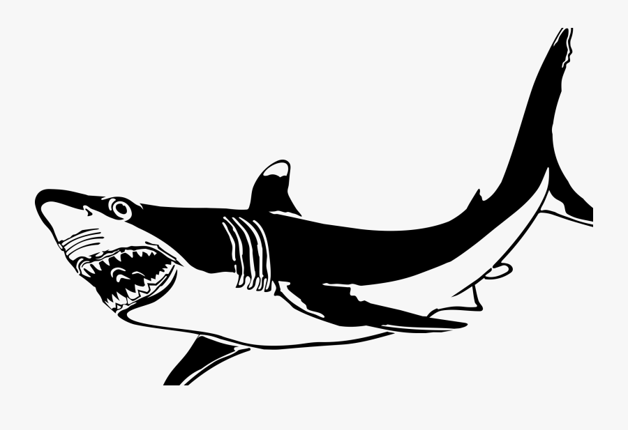 Transparent Great White Shark Png - Requiem Shark, Transparent Clipart