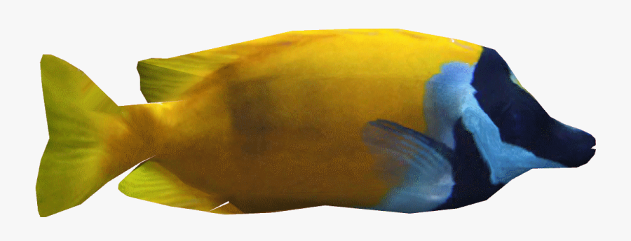 Clip Art Foxface Rabbitfish Dutchdesigns Zt - Transparent Fox Face Fish, Transparent Clipart