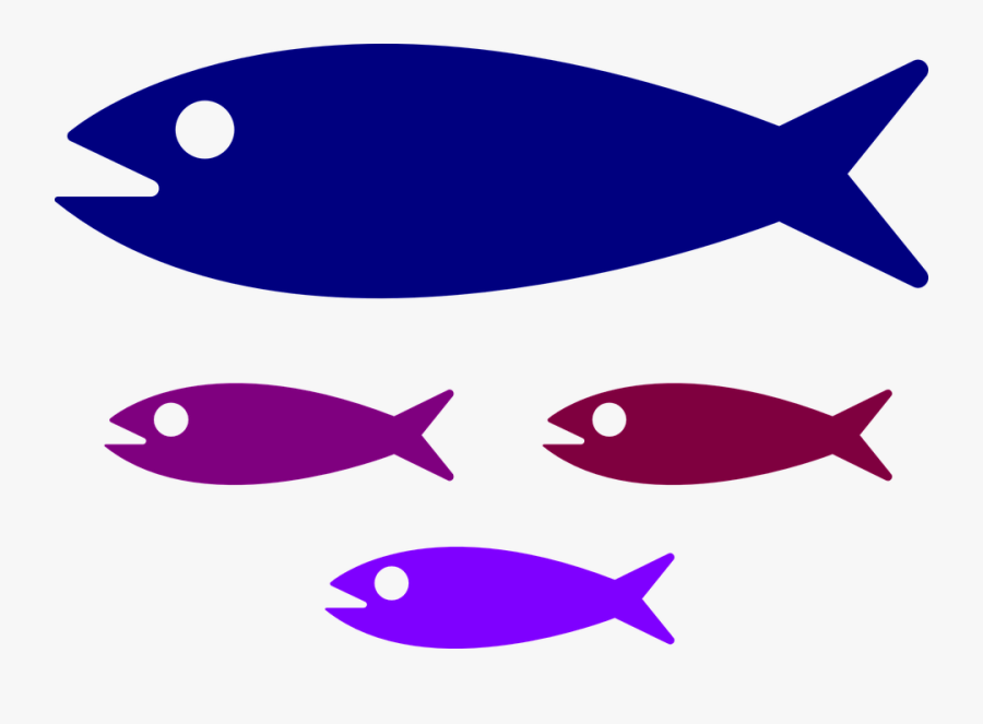 Shoal, Fish, Fish Family, Water, Kids, Swimming, Parent - Small Medium Large Fish, Transparent Clipart