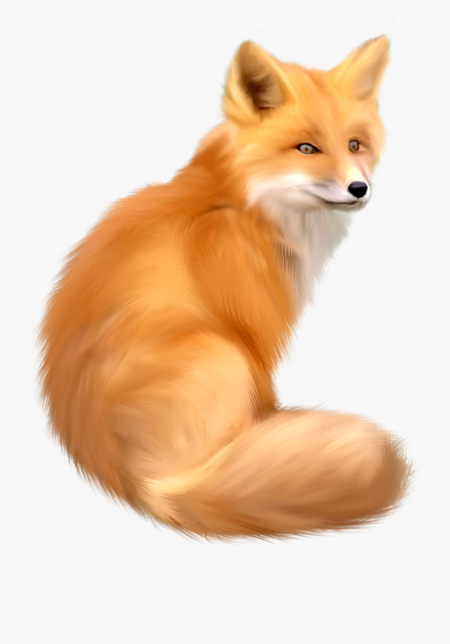Fox Png, Transparent Clipart
