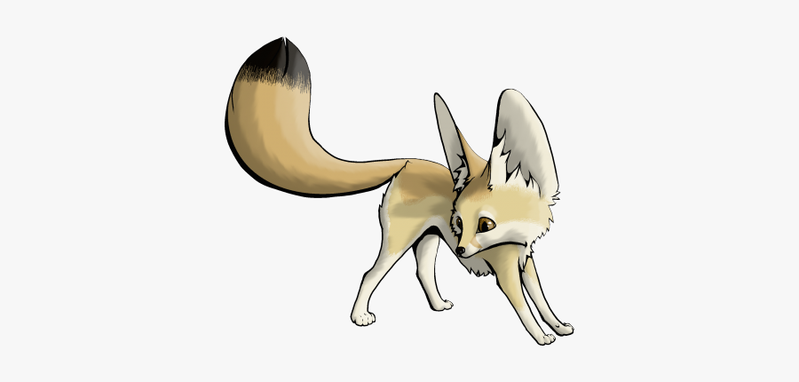 Polar Fox Clipart Face - Draw A Fennec Fox, Transparent Clipart