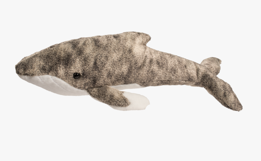 Humpback Whale Png, Transparent Clipart