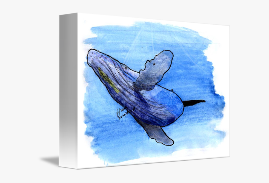 Transparent Whale Watercolor Clipart - Whales Watercolor Drawing, Transparent Clipart