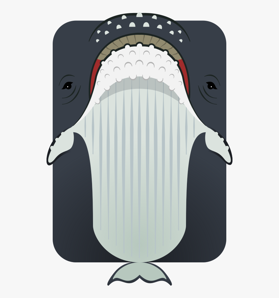 Humpback Whale Deeeep Io, Transparent Clipart