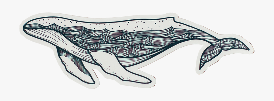 Humpback Whale, Transparent Clipart