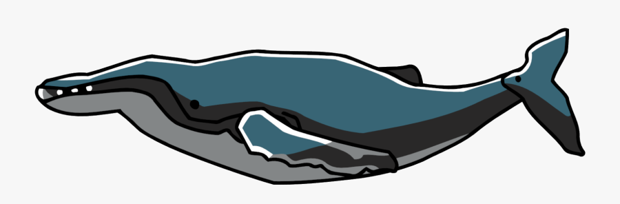 Humpback, Transparent Clipart