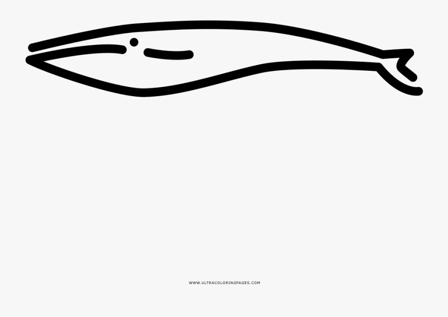 Humpback Whale Coloring Page - Line Art, Transparent Clipart