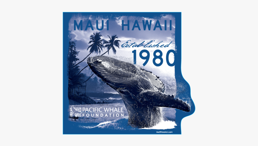 Poster, Transparent Clipart