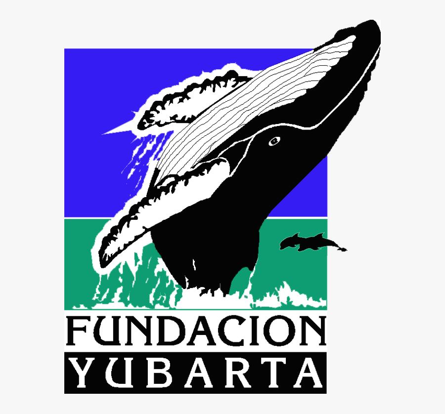 Humpback Whale, Transparent Clipart