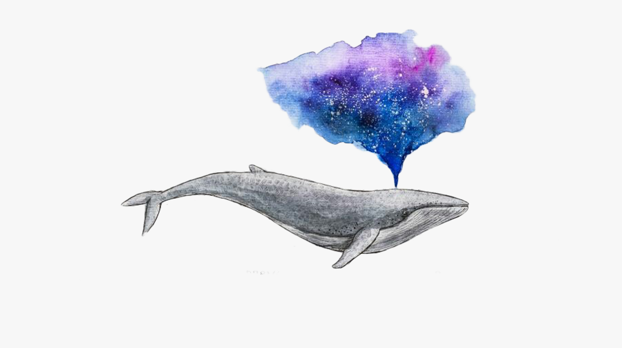 Watercolour Whale Png, Transparent Clipart