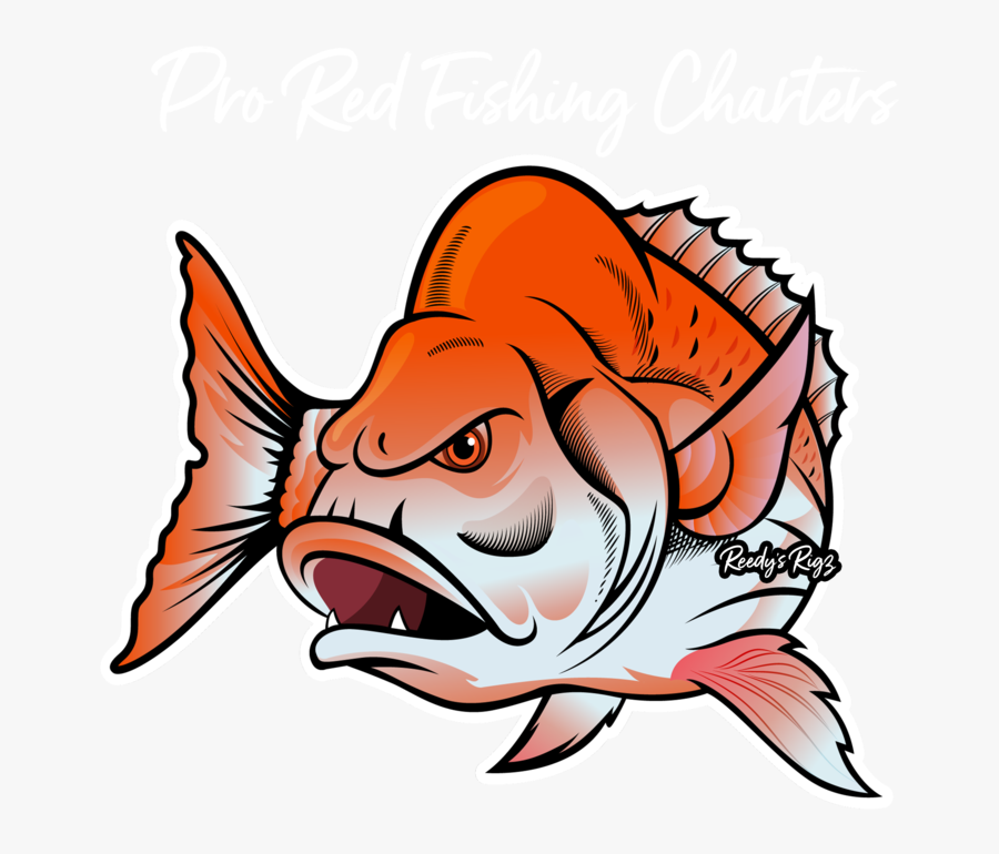 Pro Red Fishing Charters Melbourne & Reedy"s Rigz - Coral Reef Fish, Transparent Clipart