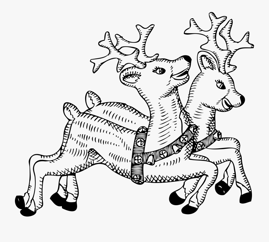 Reindeer Clipart Black Coloring Page, Printable Reindeer - Christmas Reindeer Clipart Black And White, Transparent Clipart