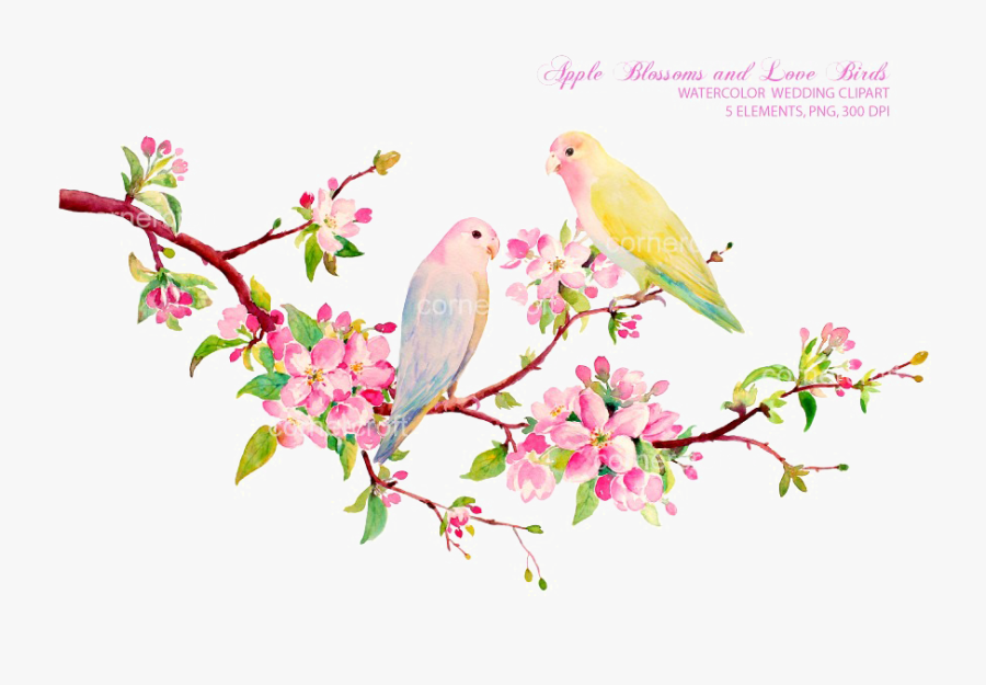 Love Birds Png Download Image - Love Bird Water Color, Transparent Clipart