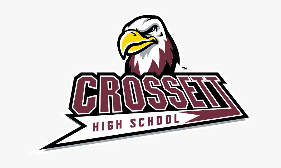 Bald Eagle, Transparent Clipart