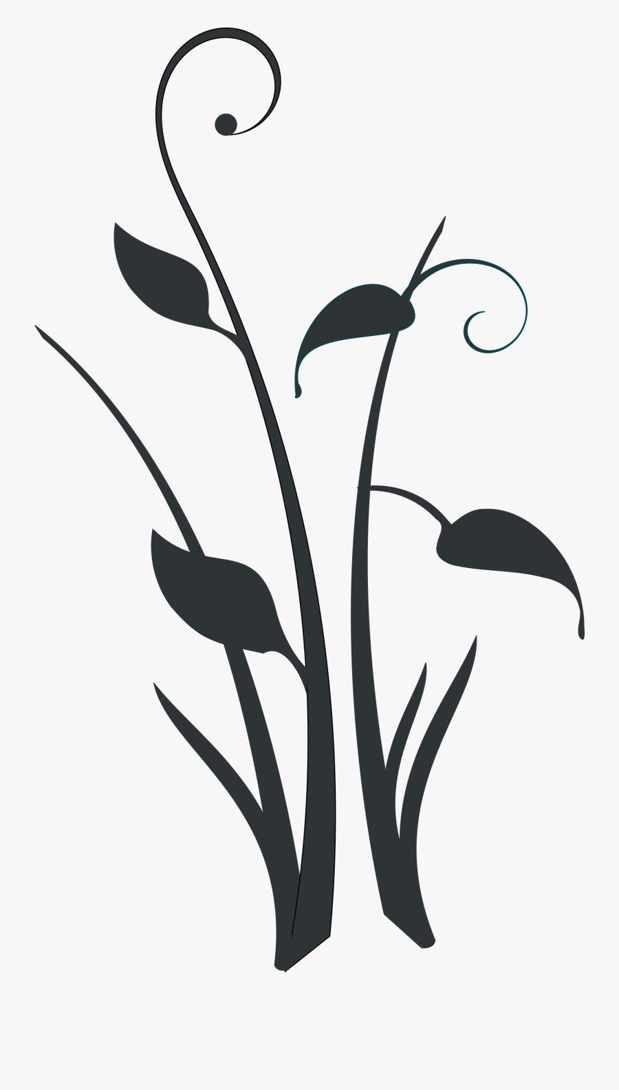Decorative Form - Black And White Plant Clipart, Transparent Clipart
