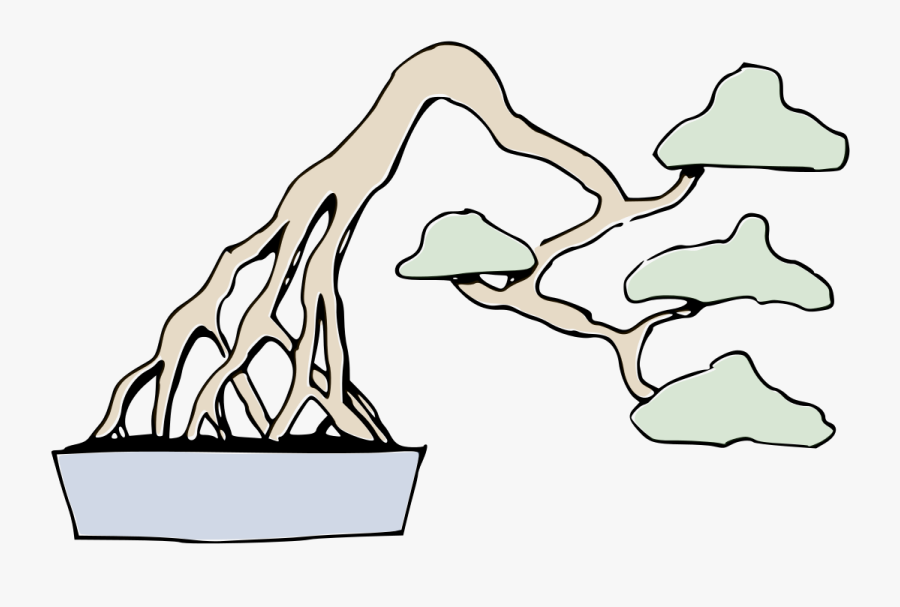 File - Bonsai Wurzelstamm-form - Svg - Bonsai Styles - Bonsai Styles, Transparent Clipart
