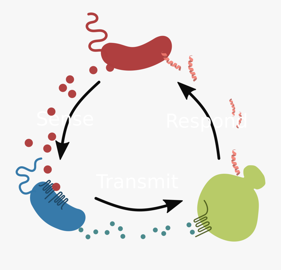 Clip Royalty Free Download Disease Clipart Cholera, Transparent Clipart