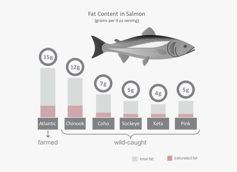 Transparent Salmon Clipart - Antibiotic Salmon, Transparent Clipart