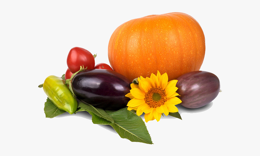 Thanksgiving Pumpkin Png Image - Seasonal Foods In October, Transparent Clipart