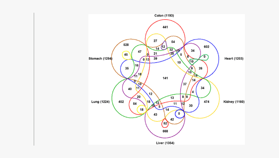 Venn Diagram Summarizing The Circrnas Shared Among - Circle, Transparent Clipart