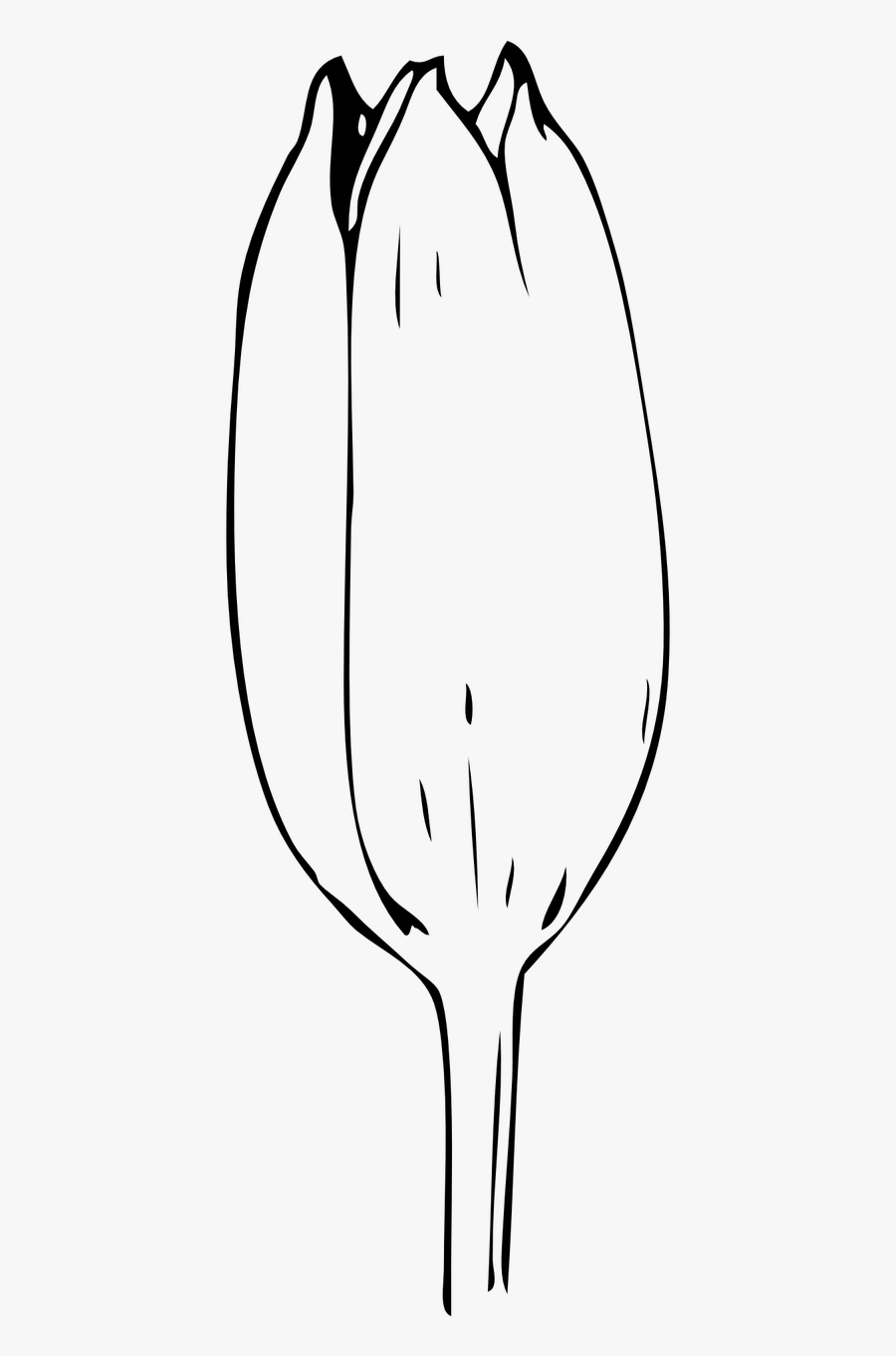 Bud Black And White, Transparent Clipart