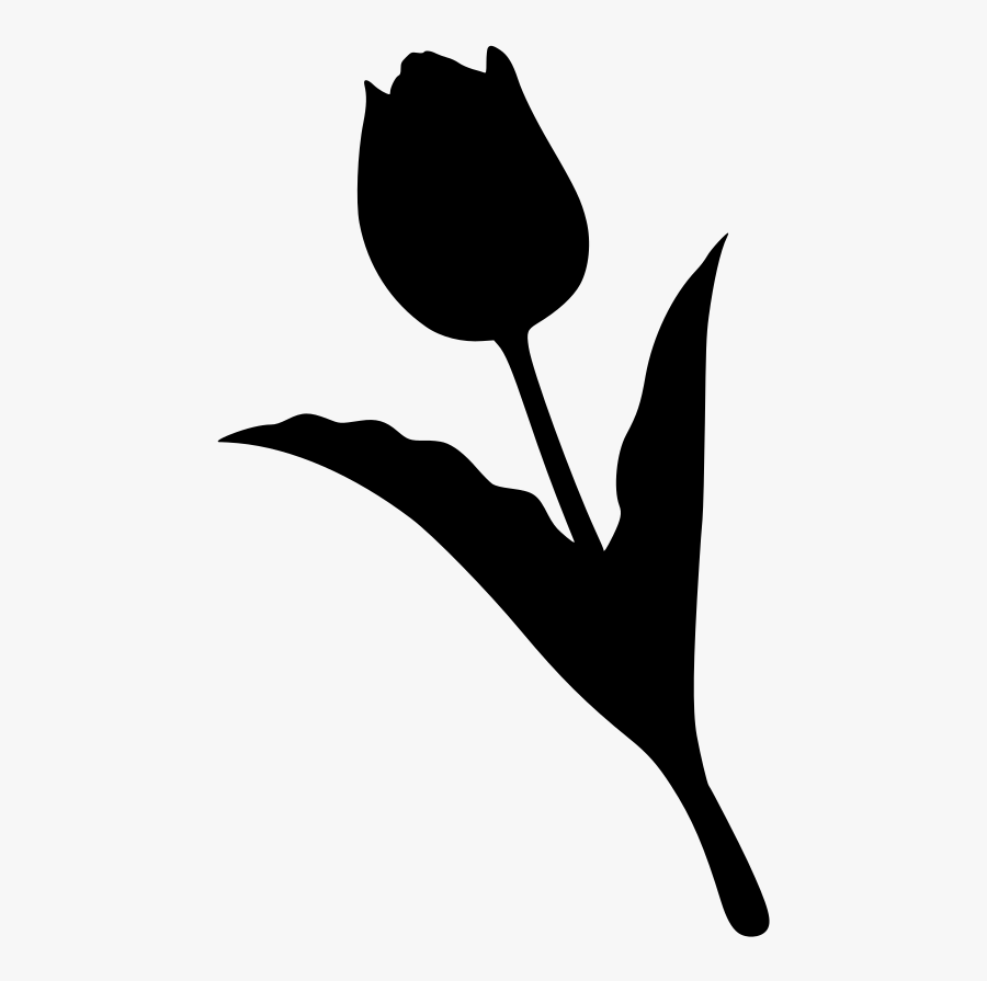 Tulip, Transparent Clipart
