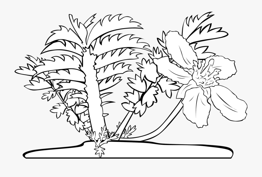 Art,symmetry,monochrome Photography - Flower, Transparent Clipart