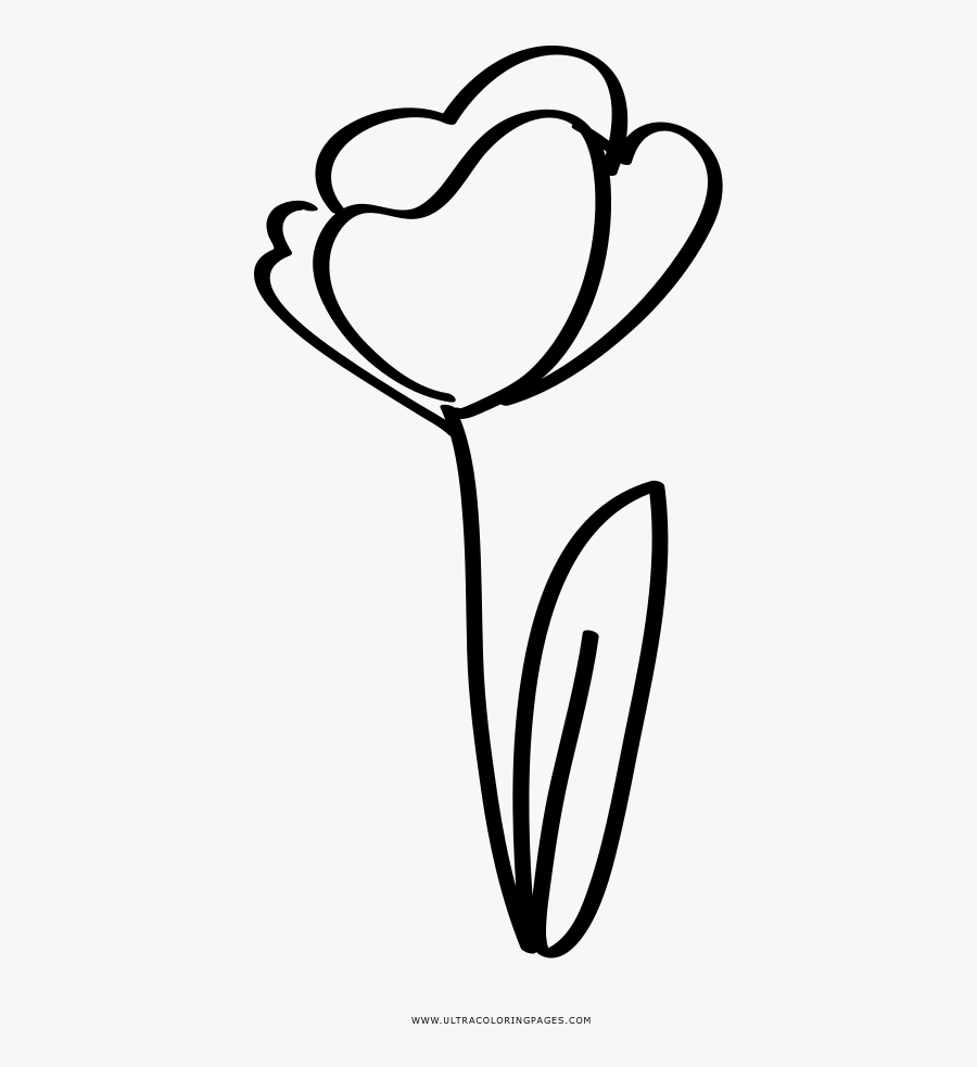 Tulip Coloring Page - Line Art, Transparent Clipart