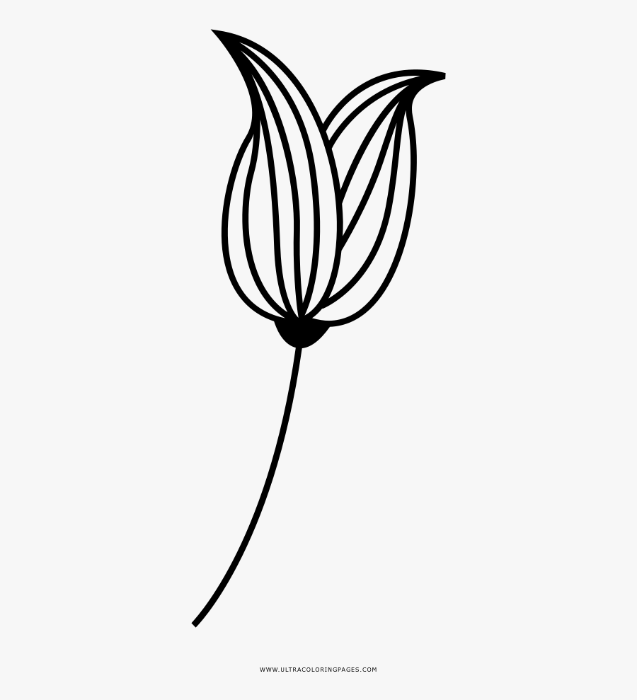 Tulip Coloring Page - Floral Design, Transparent Clipart