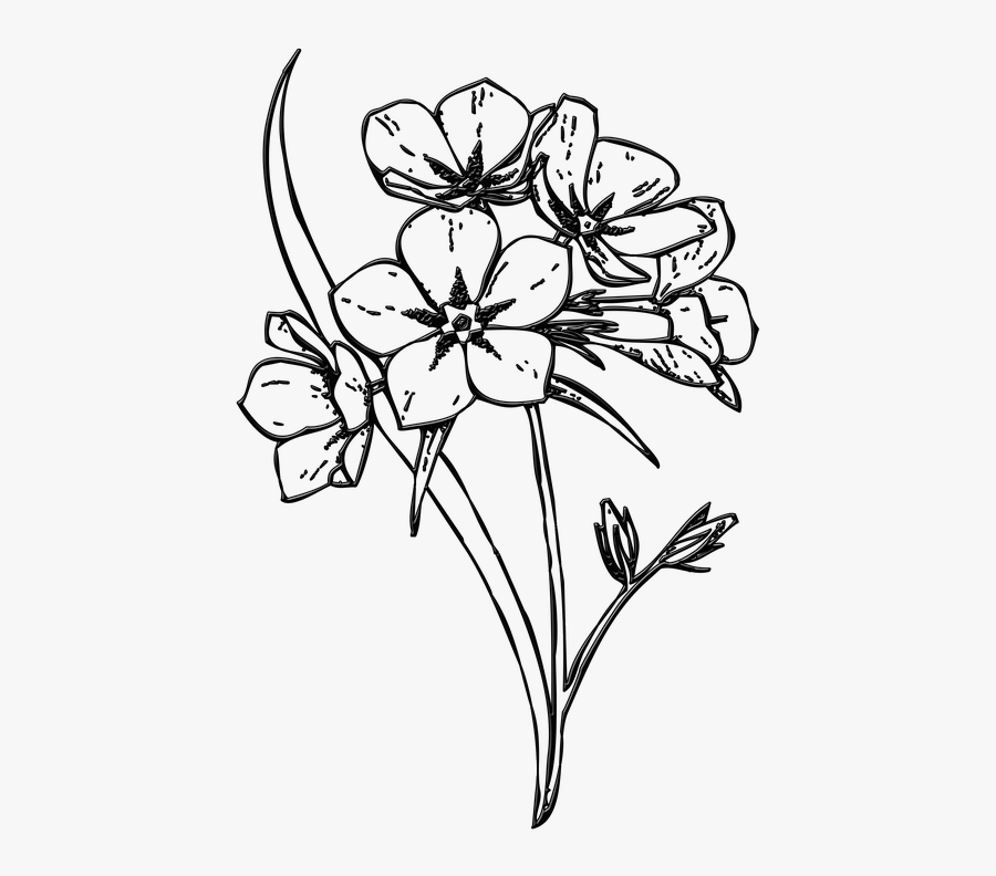 Flower Illustration Black And White Png, Transparent Clipart