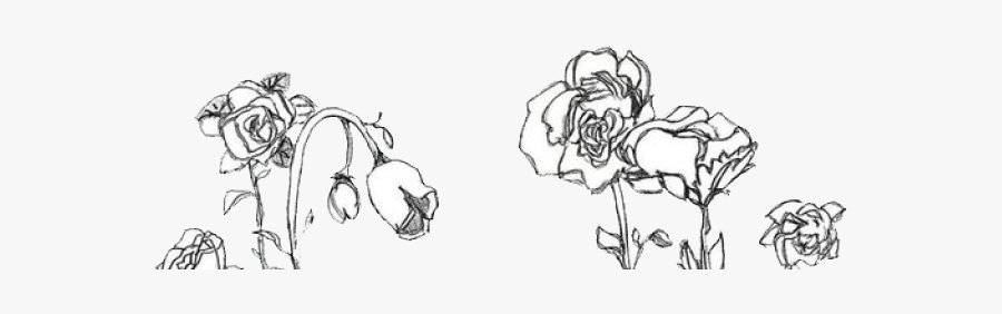 Drawn Tulip Aesthetic Aesthetic Flowers Drawing Png Free