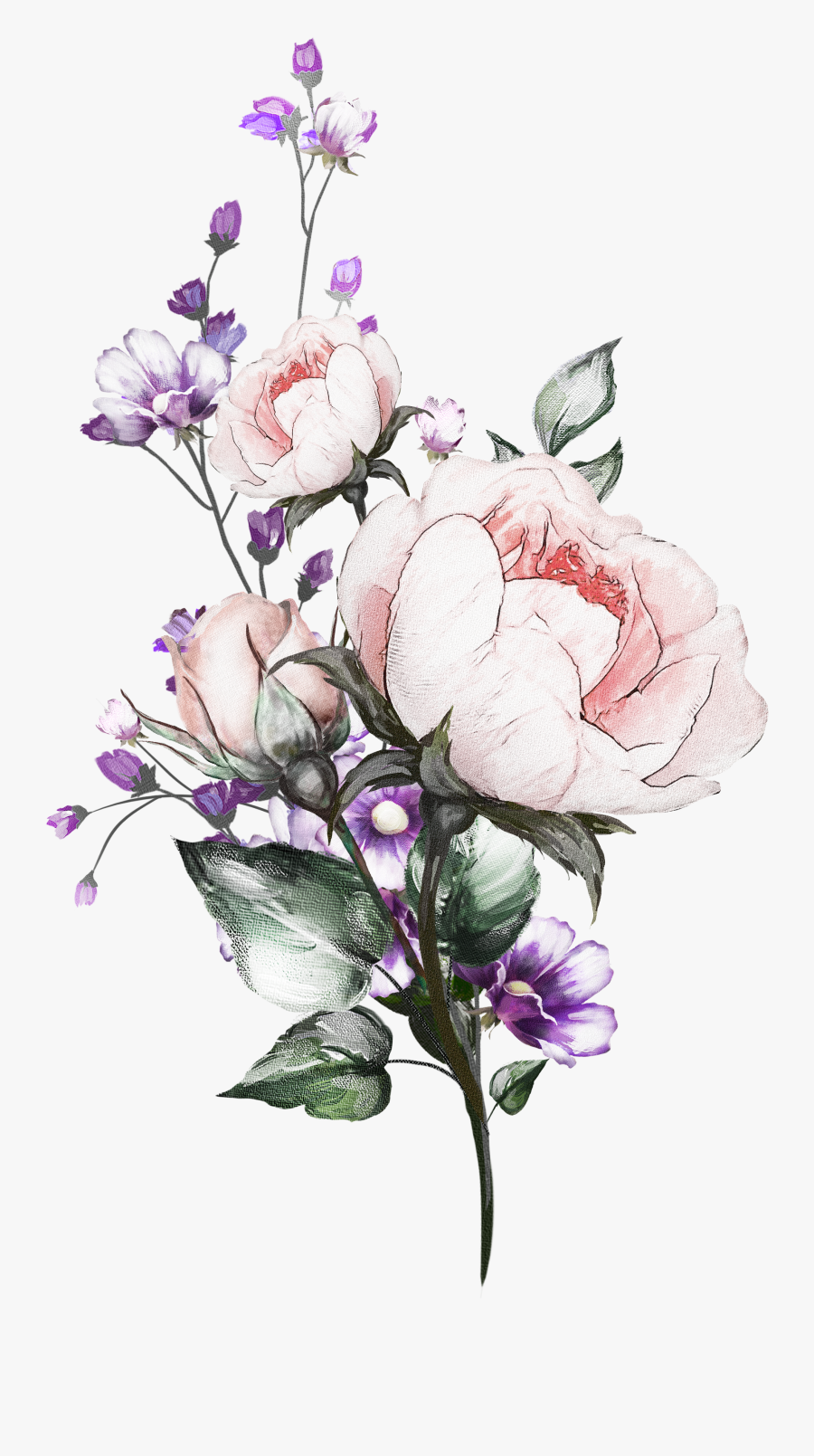 Watercolor Clipart Lilac Shades - Акварель Png, Transparent Clipart