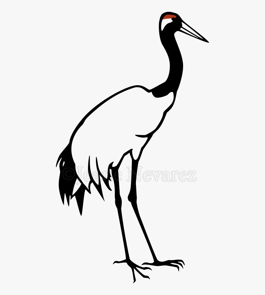 Clip Art Crane Bird Clipart - Red Crowned Crane Outline, Transparent Clipart