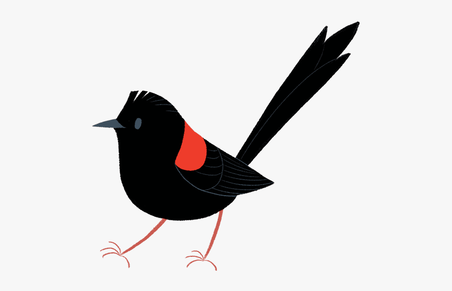 Red Wing Black Bird Graphic, Transparent Clipart