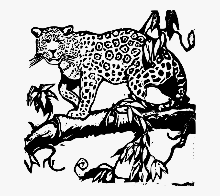 Transparent Wild Animal Png - Jaguar Animal Clipart Black And White, Transparent Clipart