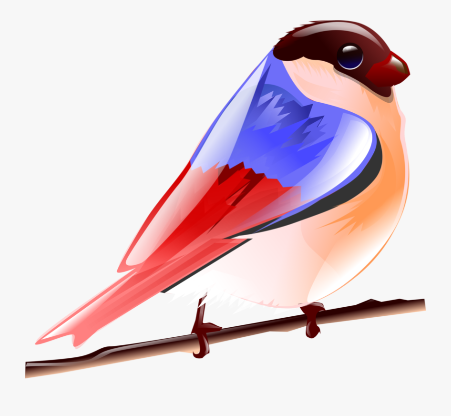 Colourful Birds Images Of Cartoon, Transparent Clipart