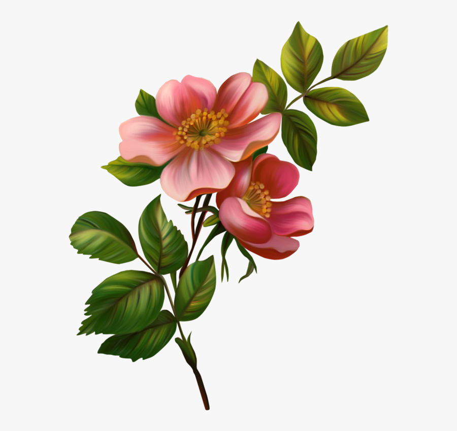 Fotki Flowers, Simple Flower Drawing - Flores Vintage Png, Transparent Clipart
