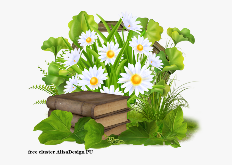 Drawing, Transparent Clipart