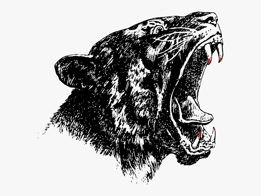 Lynx, Panther, Wildcat, Yawning, Hungry, Animal, Teeth - Northview Roar, Transparent Clipart