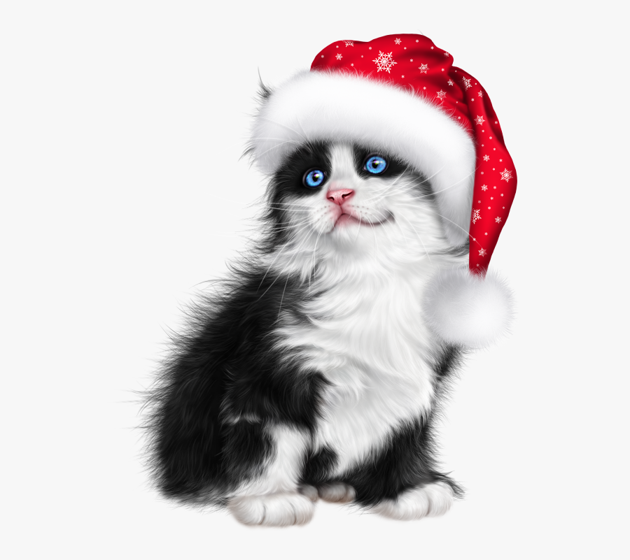 Kitten, Transparent Clipart