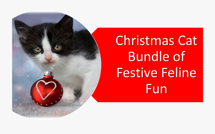 Information Technology - Feeling Love Shayari English, Transparent Clipart