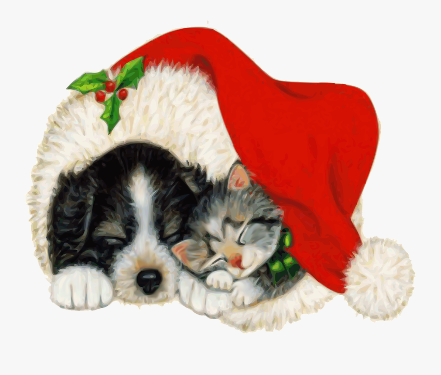 Christmas Card Cat Dog, Transparent Clipart