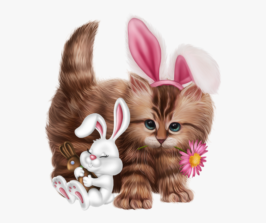 Kitten, Transparent Clipart