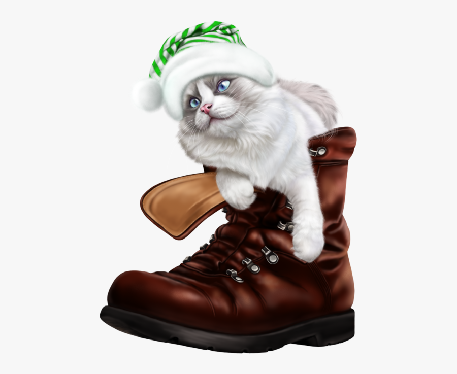 Kitten, Transparent Clipart