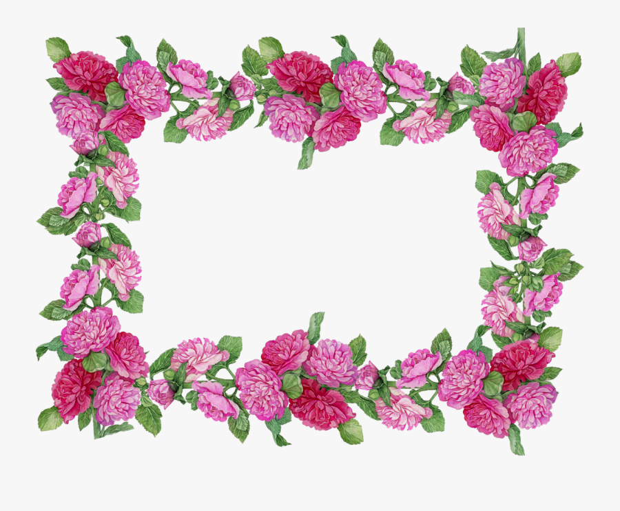 Transparent Happy Birthday Clipart Funny - Pink Flower Frame Carnation .png, Transparent Clipart