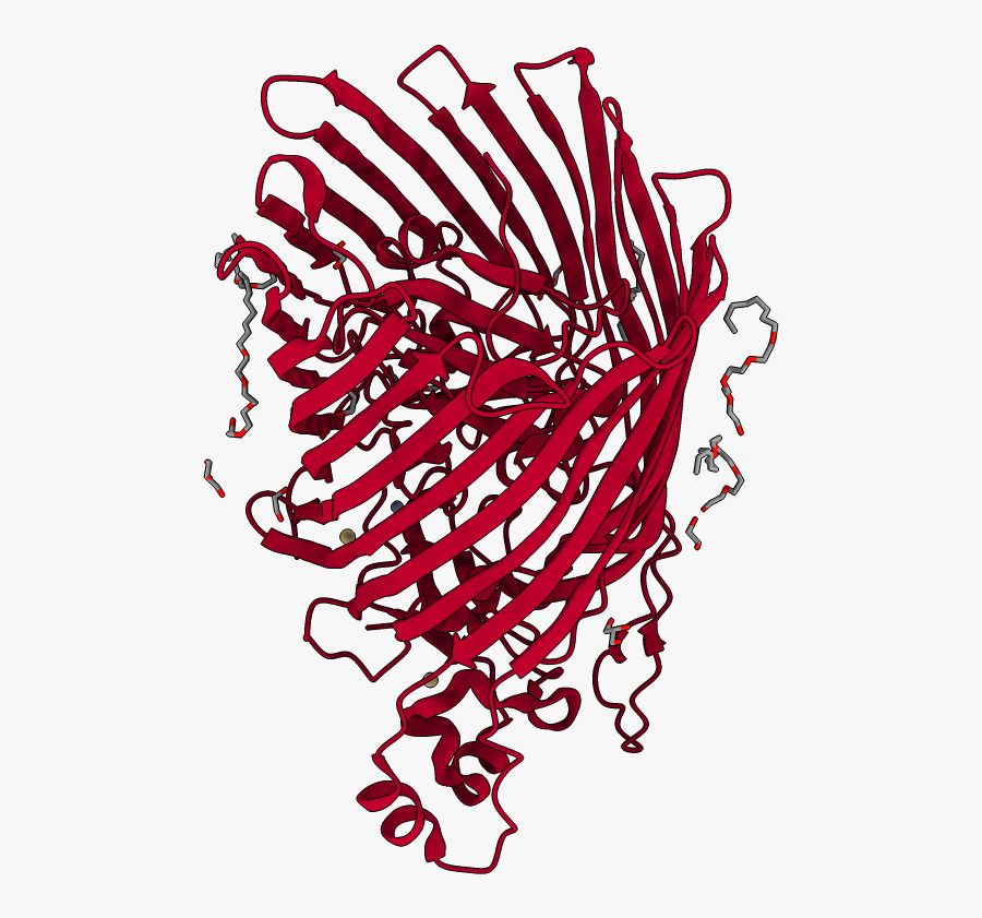 Circle Clipart Chimeric Antigen - Illustration, Transparent Clipart