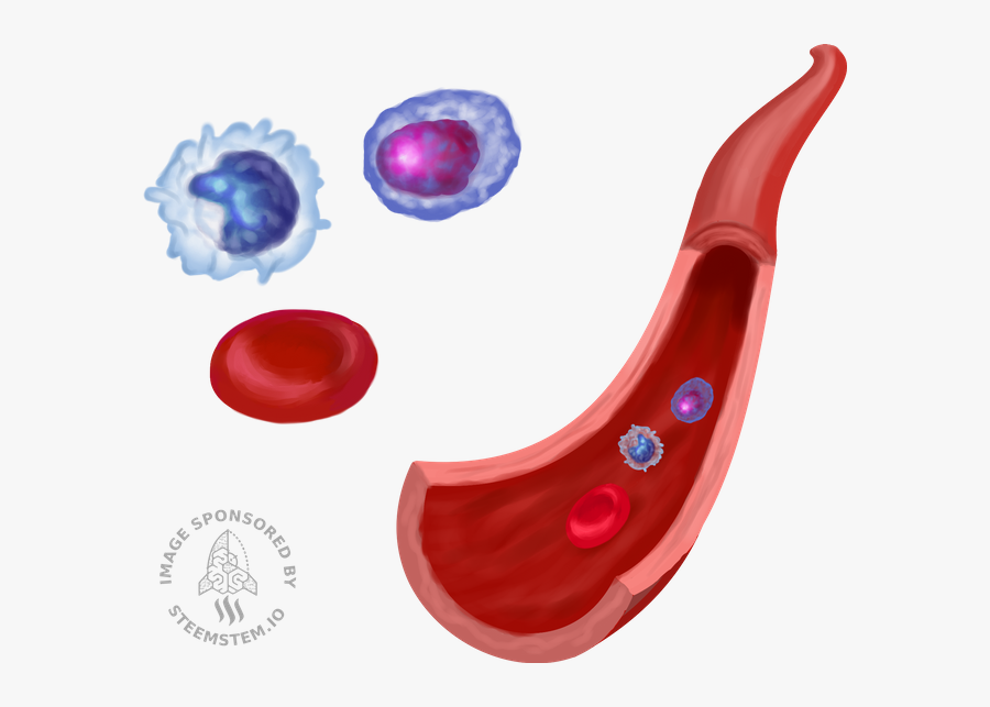 Circle Clipart Chimeric Antigen, Transparent Clipart