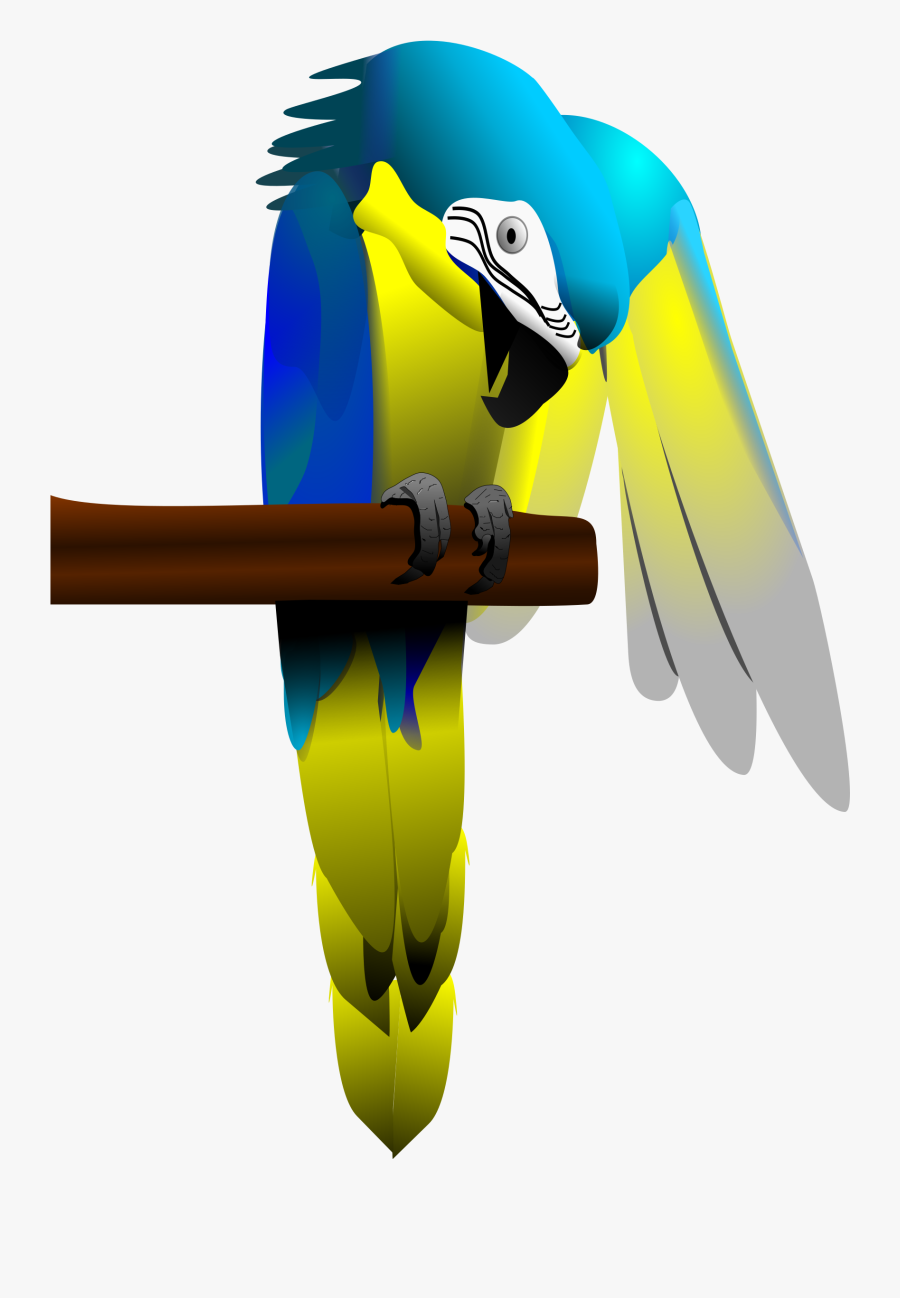 Macaw,parrot,vertebrate - Macaw, Transparent Clipart