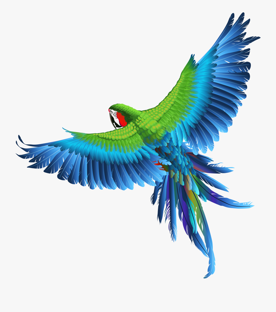 Transparent Parrot Clipart Picture - Transparent Background Parrot Clipart, Transparent Clipart
